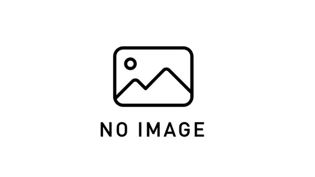 この遊び場について